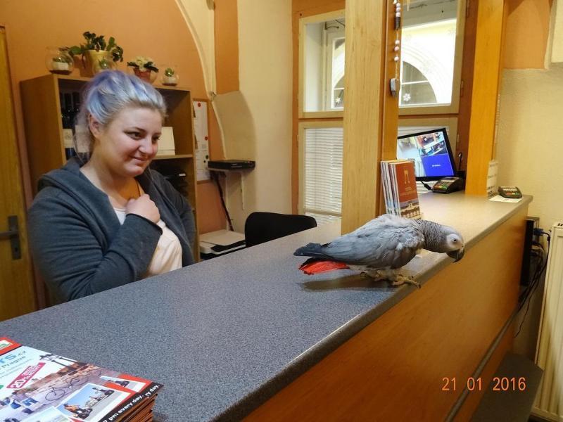 Hotel U Dvou Zlatych Klicu Praha Bagian luar foto