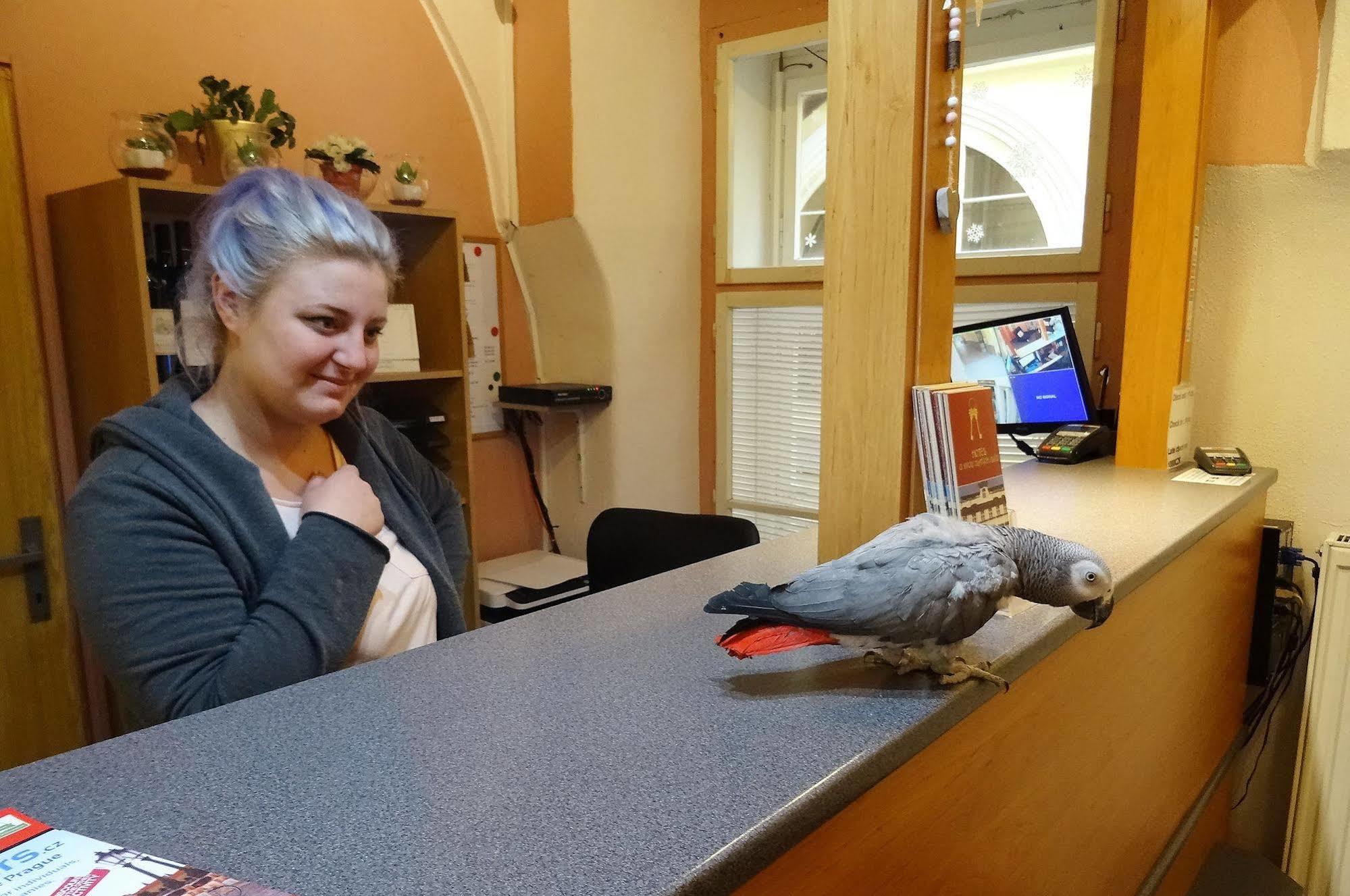 Hotel U Dvou Zlatych Klicu Praha Bagian luar foto